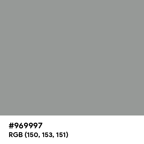 Spanish Gray (Hex code: 969997) Thumbnail