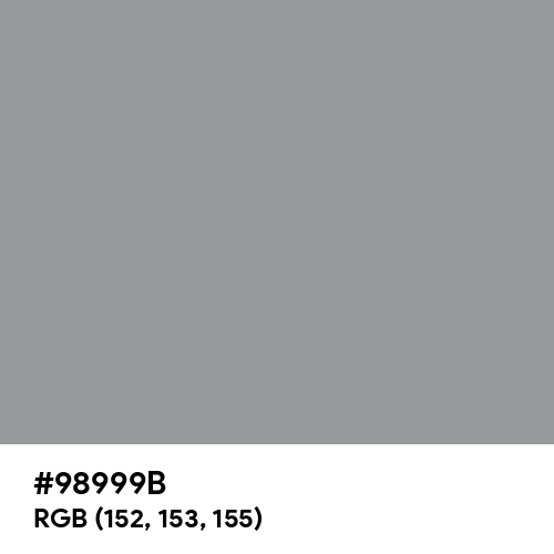 Spanish Gray (Hex code: 98999B) Thumbnail