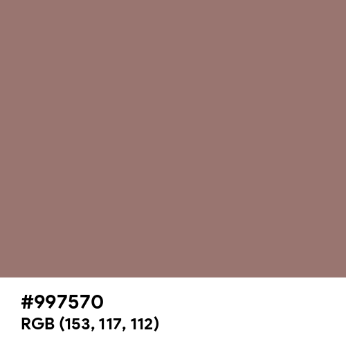 Burnished Brown (Hex code: 997570) Thumbnail