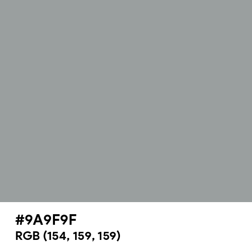 Spanish Gray (Hex code: 9A9F9F) Thumbnail