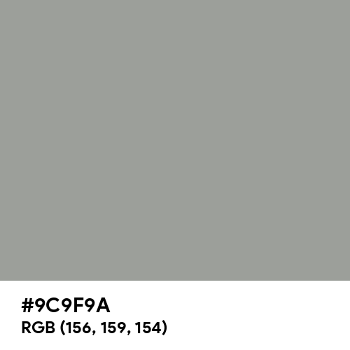 Spanish Gray (Hex code: 9C9F9A) Thumbnail