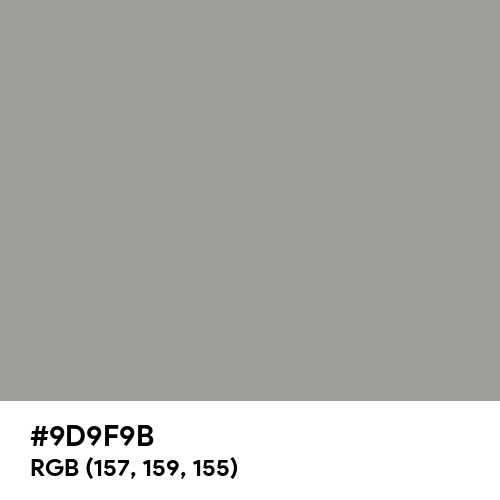 Spanish Gray (Hex code: 9D9F9B) Thumbnail