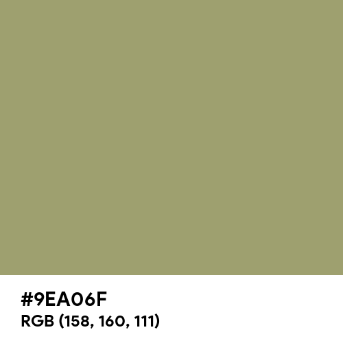 Rustic Sage (Hex code: 9EA06F) Thumbnail