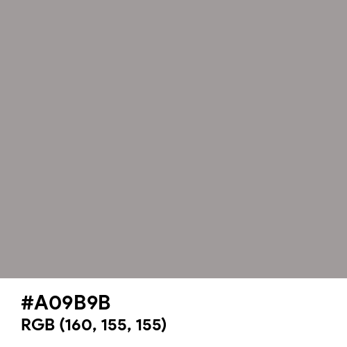 Spanish Gray (Hex code: A09B9B) Thumbnail