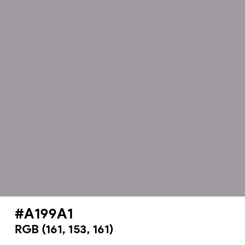 Heliotrope Gray (Hex code: A199A1) Thumbnail