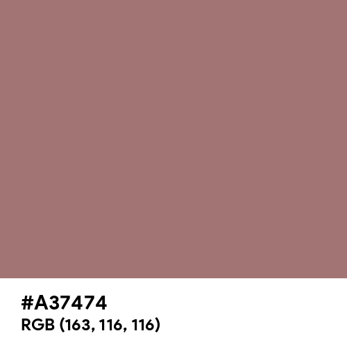 Burnished Brown (Hex code: A37474) Thumbnail