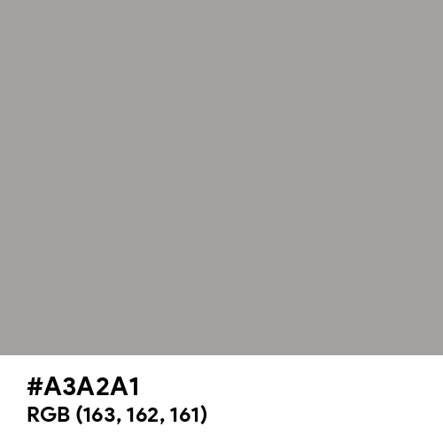 Quick Silver (Hex code: A3A2A1) Thumbnail
