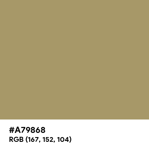 Light Taupe (Hex code: A79868) Thumbnail