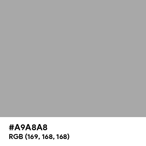 Dark Gray (X11) (Hex code: A9A8A8) Thumbnail