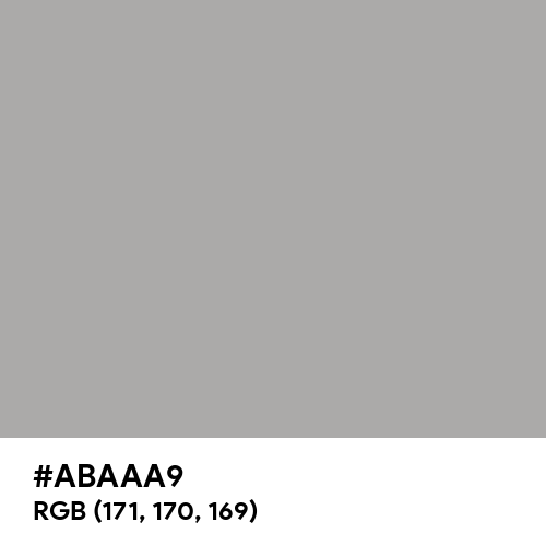 Dark Gray (X11) (Hex code: ABAAA9) Thumbnail