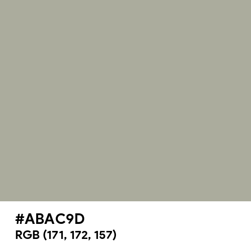 Quick Silver (Hex code: ABAC9D) Thumbnail