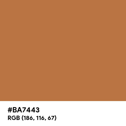 Shiny Brown (Hex code: BA7443) Thumbnail