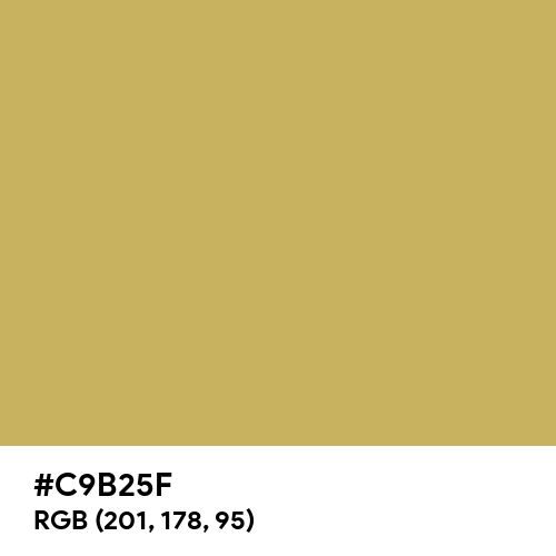 Gold Lustre (Hex code: C9B25F) Thumbnail