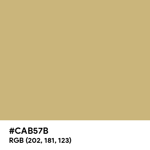 Light French Beige (Hex code: CAB57B) Thumbnail