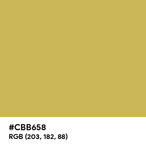 Dull Gold Yellow (Hex code: CBB658) Thumbnail