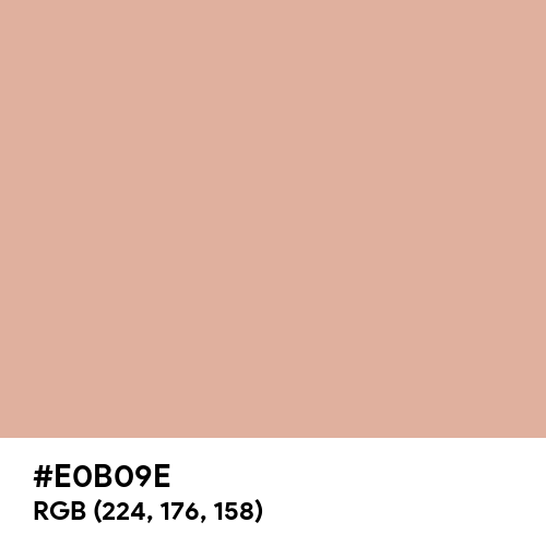 Pastel Pink (Hex code: E0B09E) Thumbnail