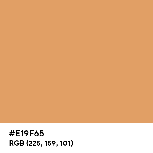 Copper Gold (Hex code: E19F65) Thumbnail