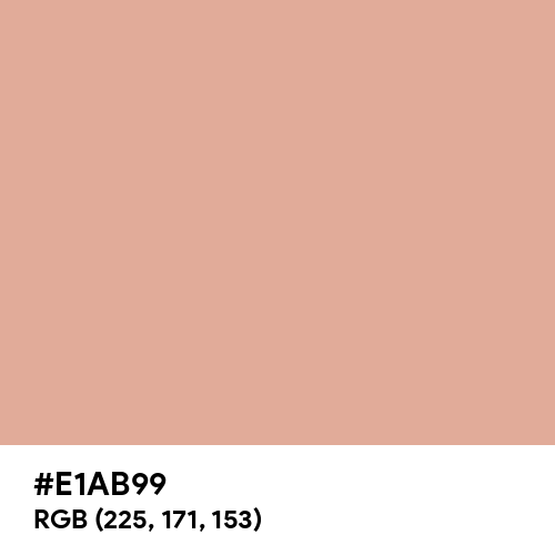 Pastel Pink (Hex code: E1AB99) Thumbnail