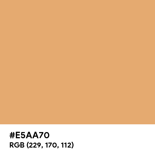 Fawn color hex code is #E5AA70