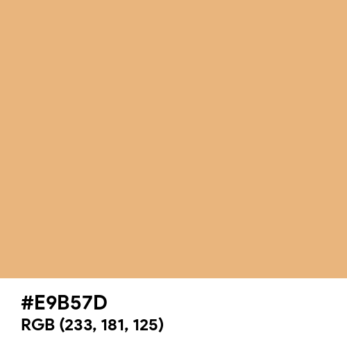 Washed Out Orange (Hex code: E9B57D) Thumbnail