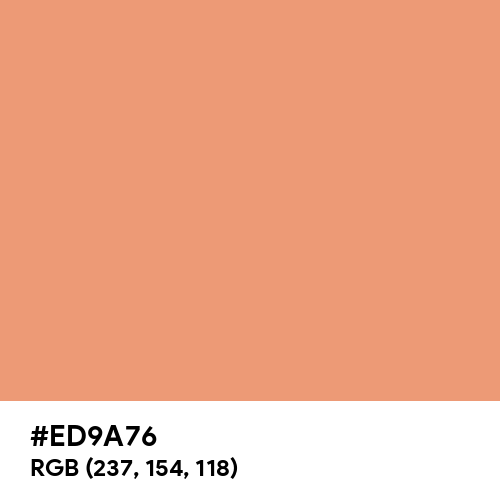 Light Amber Orange (Hex code: ED9A76) Thumbnail