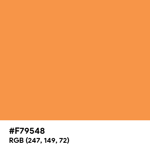 Bright Neon Orange CMYK (Hex code: F79548) Thumbnail