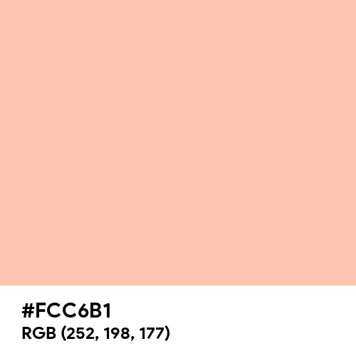 Apricot (Hex code: FCC6B1) Thumbnail