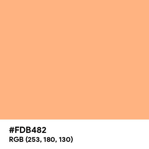 Apricot Orange (RAL Design) (Hex code: FDB482) Thumbnail