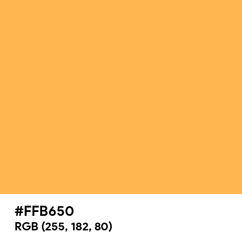 Bright Pastel Orange (Hex code: FFB650) Thumbnail