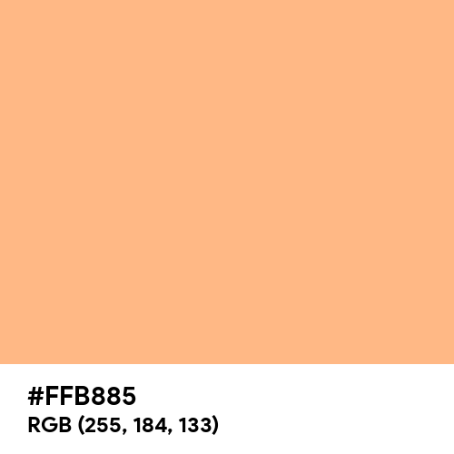 Cute Orange (Hex code: FFB885) Thumbnail