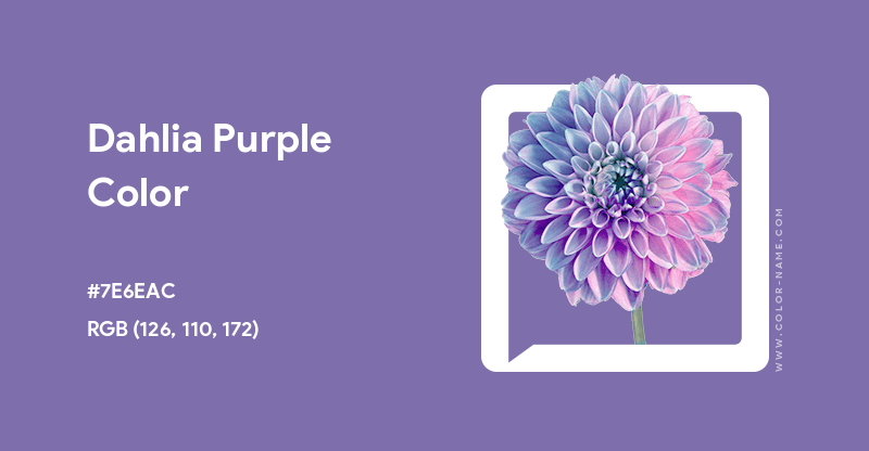 Dahlia Purple color image with HEX, RGB and CMYK codes