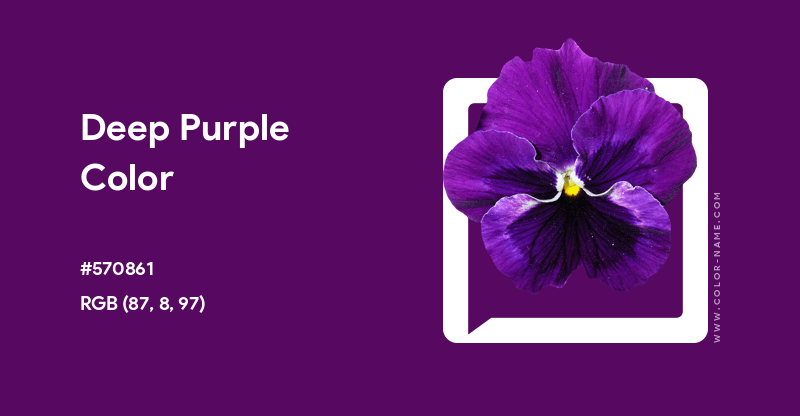 Deep Purple color image with HEX, RGB and CMYK codes