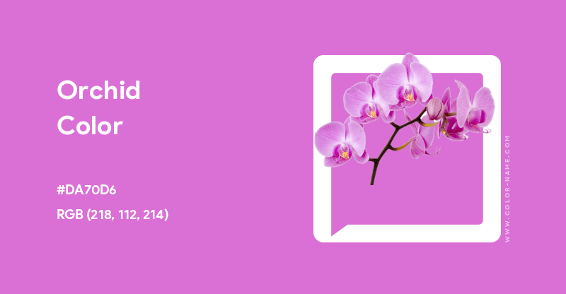Orchid color image with HEX, RGB and CMYK codes