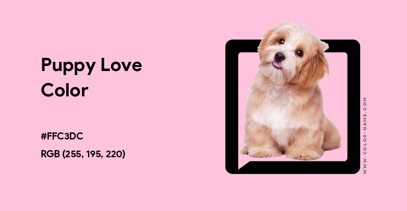 Puppy Love color image with HEX, RGB and CMYK codes