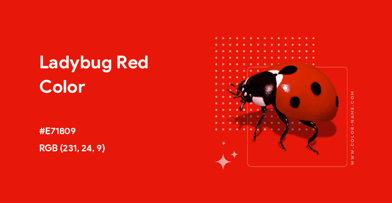 Ladybug Red color hex code is #E71809