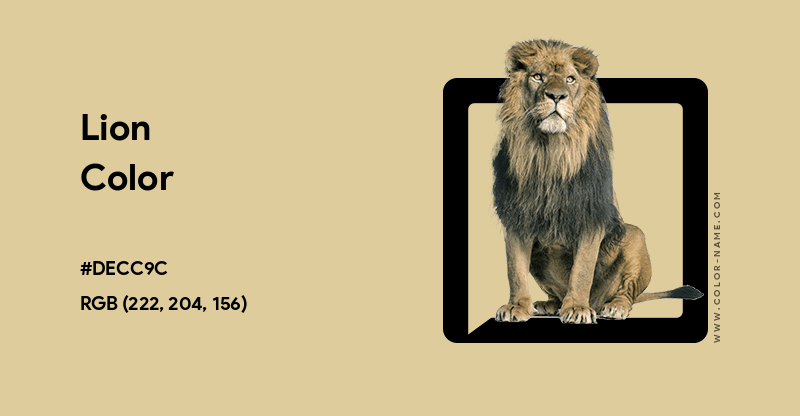 Lion color hex code is #DECC9C