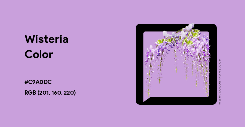 Wisteria color hex code is #C9A0DC