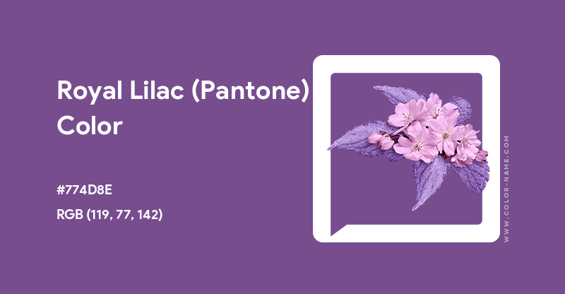 Royal Lilac (Pantone) color hex code is #774D8E