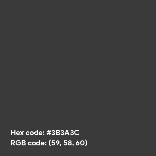 Rich Grey (Hex code: 3B3A3C) Color Thumbnail