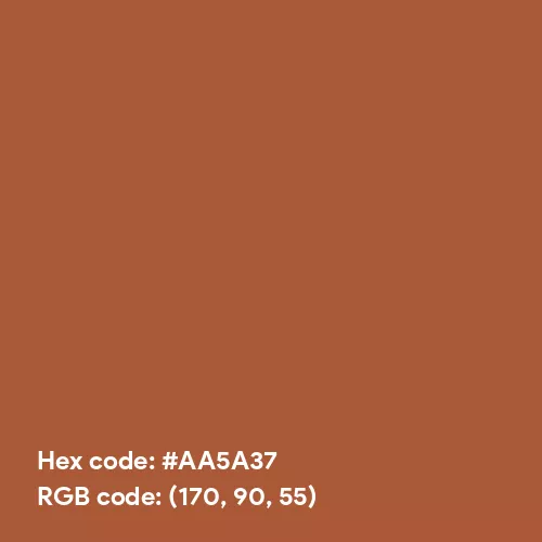 Still Brown (Hex code: AA5A37) Color Thumbnail