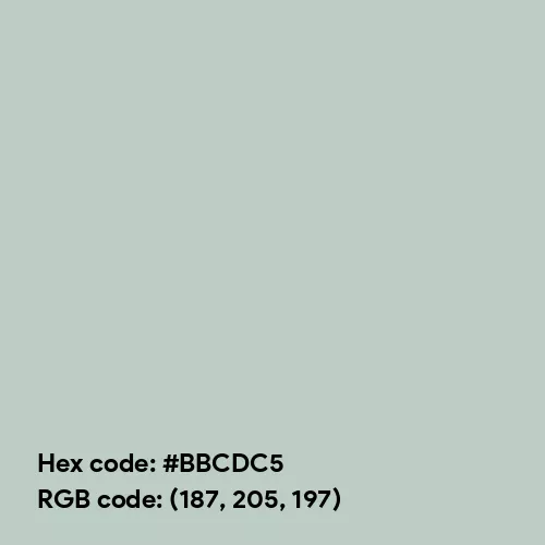 Sage Whisper (Hex code: BBCDC5) Color Thumbnail