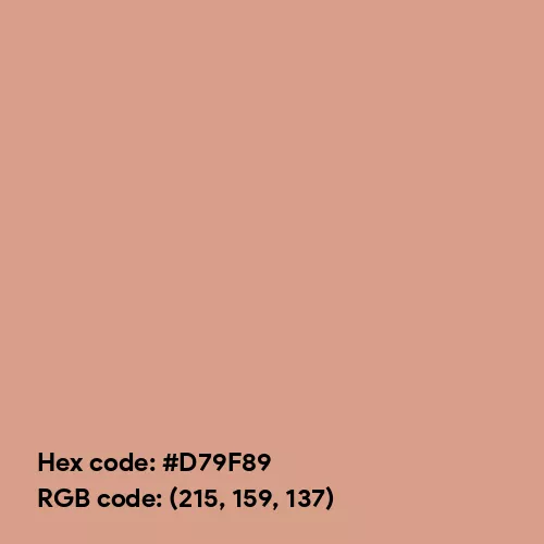 Warm Blush (Hex code: D79F89) Color Thumbnail