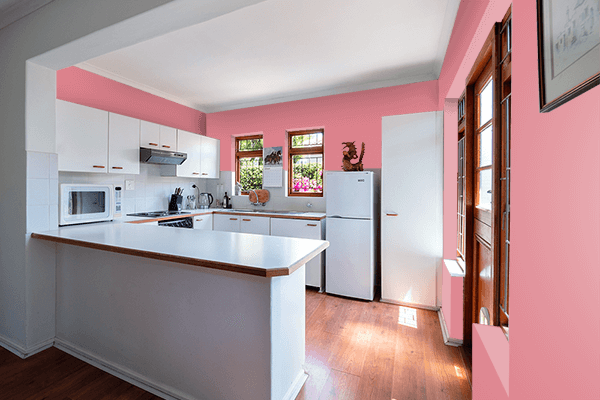 Pretty Photo frame on Flamingo Plume color kitchen interior wall color