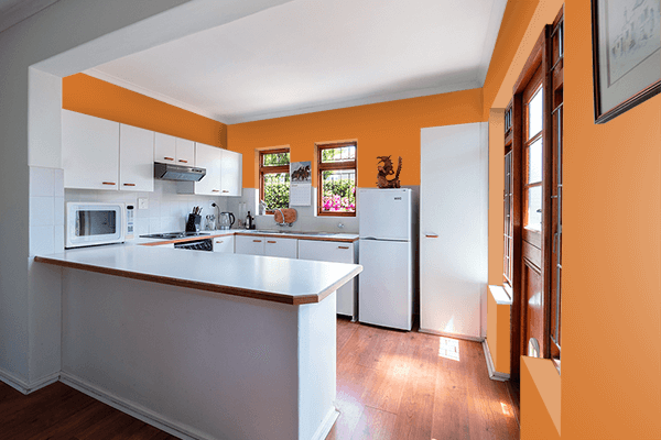 Pretty Photo frame on Bitter Orange color kitchen interior wall color