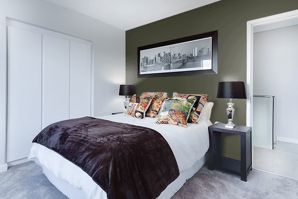Pretty Photo frame on Dark Olive Green (RAL Design) color Bedroom interior wall color