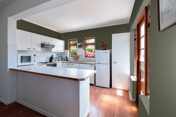 Pretty Photo frame on Dark Olive Green (RAL Design) color kitchen interior wall color