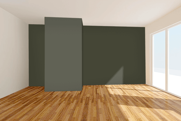 Pretty Photo frame on Dark Olive Green (RAL Design) color Living room wal color