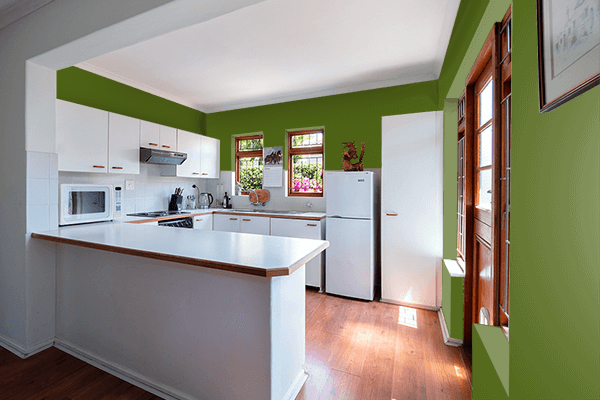 Pretty Photo frame on Pepper Green (RAL Design) color kitchen interior wall color