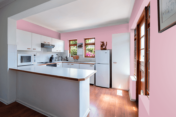 Pretty Photo frame on Pink Nectar color kitchen interior wall color