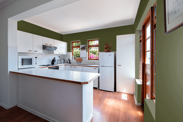 Pretty Photo frame on Nori Seaweed Green color kitchen interior wall color